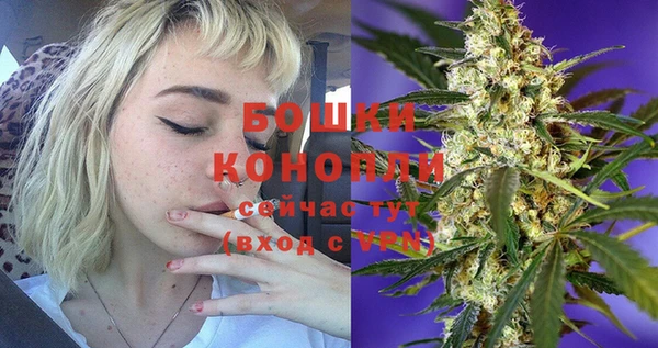 ПСИЛОЦИБИНОВЫЕ ГРИБЫ Бородино